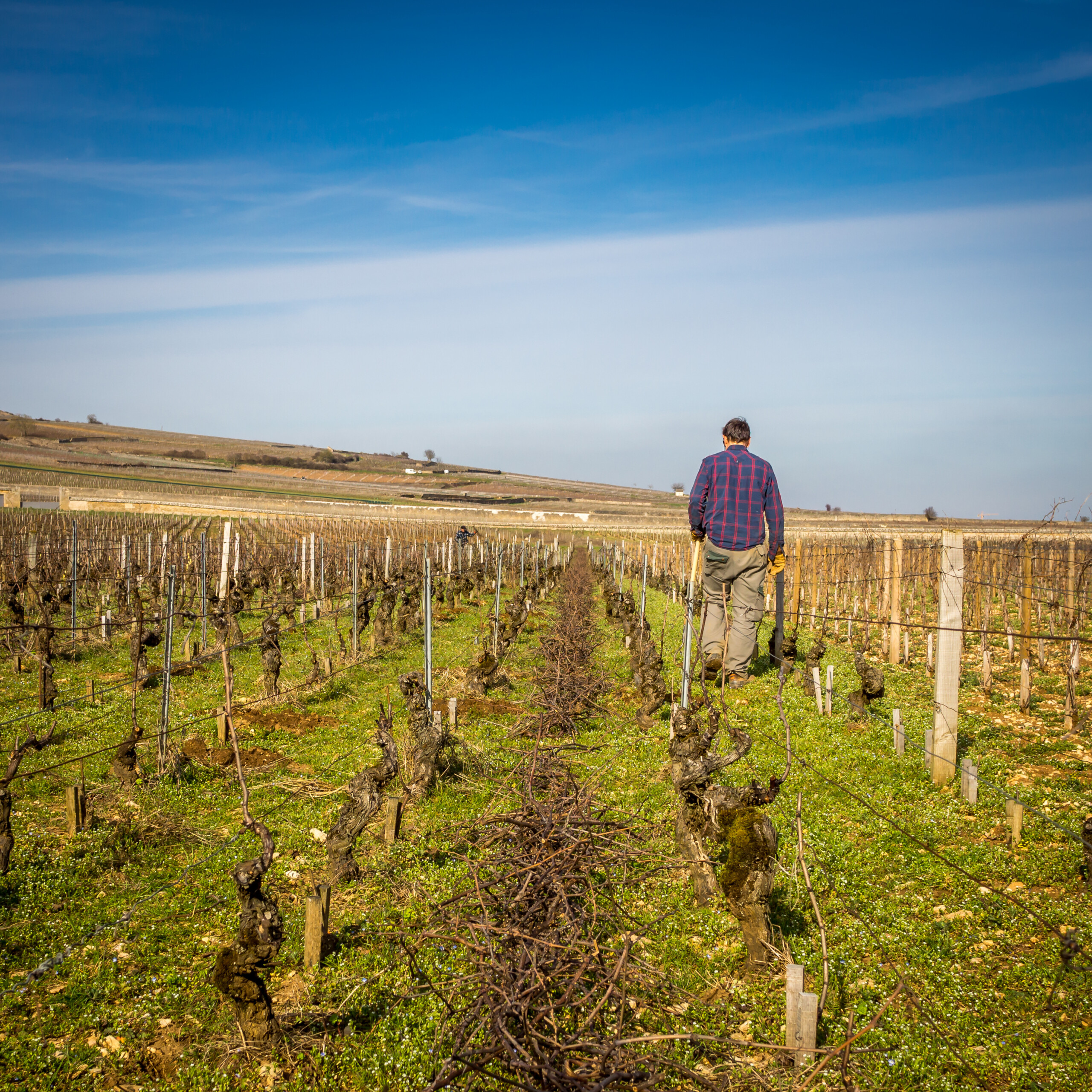 Chef de culture itinérant Banton Lauret Chef de culture itinérant Banton Lauret